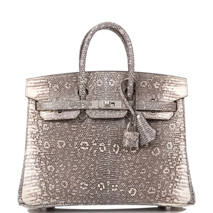 Hermes Vs Klijentice Torba Birkin5