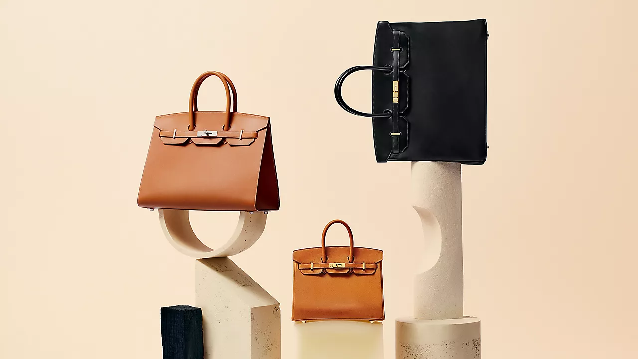 Hermes Vs Klijentice Torba Birkin8