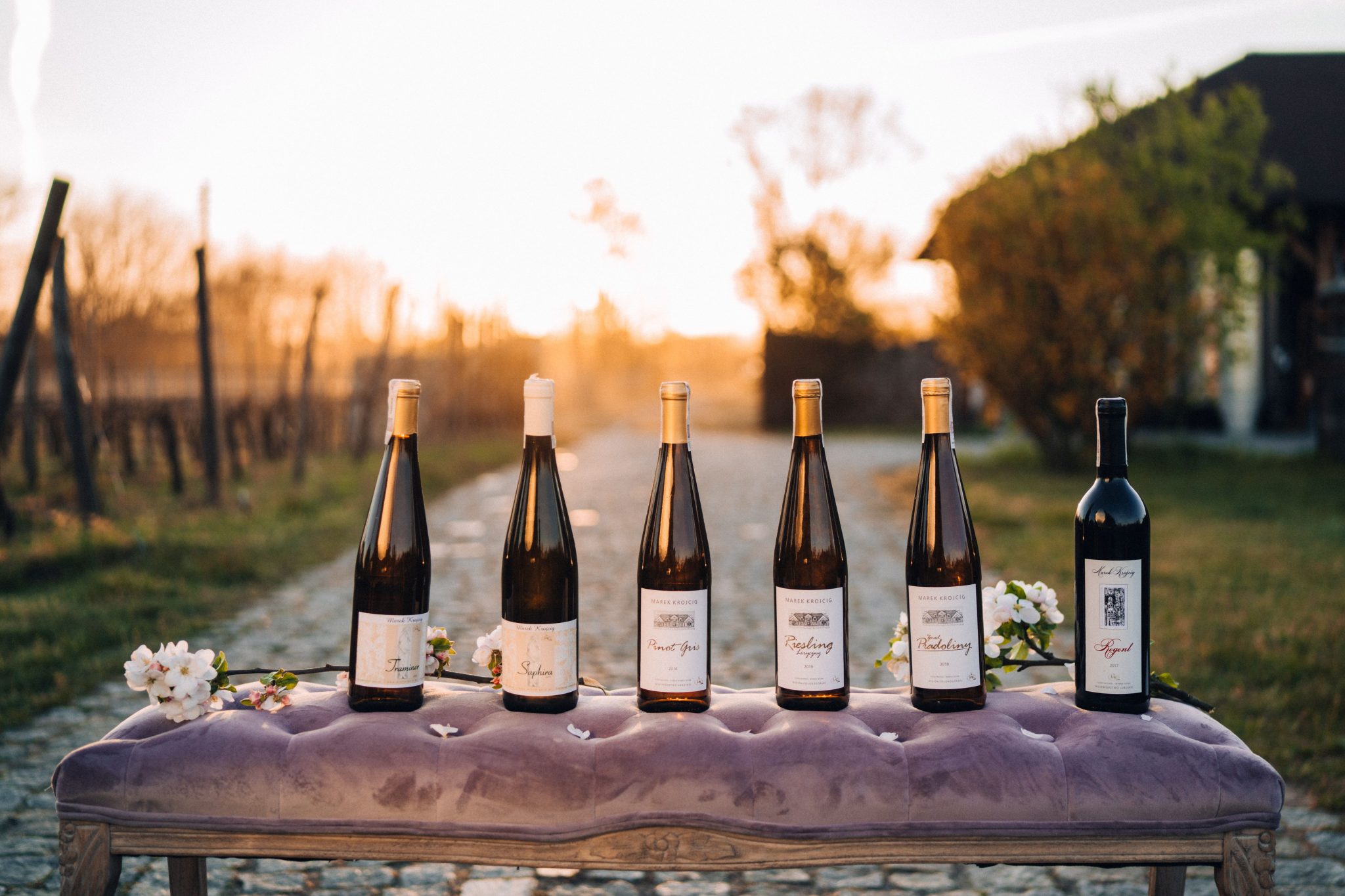 Vinogradi u Zielona G&oacute;ra