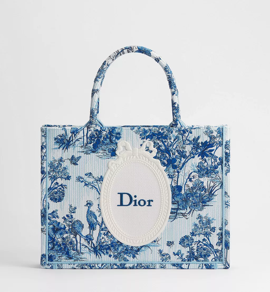 Dior Book Tote Kad knjiga postaje moda65