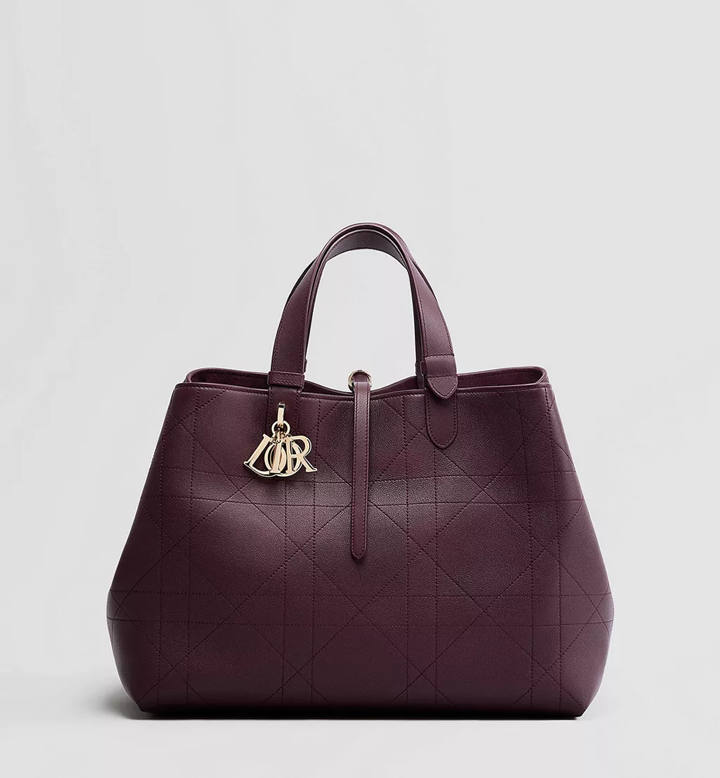 Bordo torbica Dior1